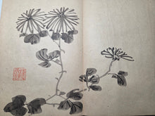 Load image into Gallery viewer, A Southern School Painting Album, Circa 1850-1900. Late Qing Dynasty Album of 15 Double Paged Ink and Wash Paintings