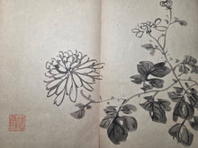 Load image into Gallery viewer, A Southern School Painting Album, Circa 1850-1900. Late Qing Dynasty Album of 15 Double Paged Ink and Wash Paintings