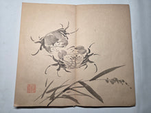 Load image into Gallery viewer, A Southern School Painting Album, Circa 1850-1900. Late Qing Dynasty Album of 15 Double Paged Ink and Wash Paintings
