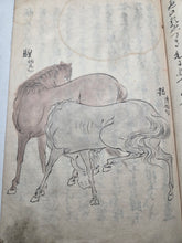 Load image into Gallery viewer, Kayo Hiso Genko (On Training Horses), Circa 1800-1840. A Manuscript Copy of this Work on Horse Breeding, Training, and Nomenclature, with 34 Expertly Reproduced Full Page Illustrations of Horses