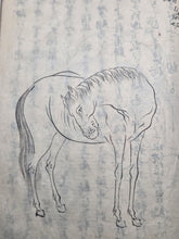 Load image into Gallery viewer, Kayo Hiso Genko (On Training Horses), Circa 1800-1840. A Manuscript Copy of this Work on Horse Breeding, Training, and Nomenclature, with 34 Expertly Reproduced Full Page Illustrations of Horses