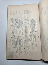 Load image into Gallery viewer, Kayo Hiso Genko (On Training Horses), Circa 1800-1840. A Manuscript Copy of this Work on Horse Breeding, Training, and Nomenclature, with 34 Expertly Reproduced Full Page Illustrations of Horses
