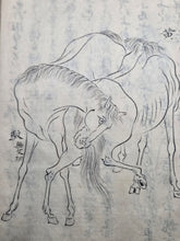 Load image into Gallery viewer, Kayo Hiso Genko (On Training Horses), Circa 1800-1840. A Manuscript Copy of this Work on Horse Breeding, Training, and Nomenclature, with 34 Expertly Reproduced Full Page Illustrations of Horses
