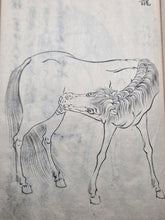 Load image into Gallery viewer, Kayo Hiso Genko (On Training Horses), Circa 1800-1840. A Manuscript Copy of this Work on Horse Breeding, Training, and Nomenclature, with 34 Expertly Reproduced Full Page Illustrations of Horses