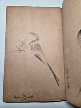 Load image into Gallery viewer, A Collection of Flower and Bird Paintings, Circa 1870-1890 (Meiji Period). Illustrated Manuscript of 74 Pages of Paintings, Sketches, and Drawings of Birds and Flowers, by a Student of the Kyoshin-Kai School of Painting