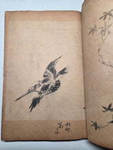 Load image into Gallery viewer, A Collection of Flower and Bird Paintings, Circa 1870-1890 (Meiji Period). Illustrated Manuscript of 74 Pages of Paintings, Sketches, and Drawings of Birds and Flowers, by a Student of the Kyoshin-Kai School of Painting