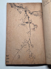 Load image into Gallery viewer, A Collection of Flower and Bird Paintings, Circa 1870-1890 (Meiji Period). Illustrated Manuscript of 74 Pages of Paintings, Sketches, and Drawings of Birds and Flowers, by a Student of the Kyoshin-Kai School of Painting