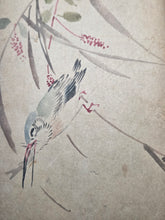 Load image into Gallery viewer, A Collection of Flower and Bird Paintings, Circa 1870-1890 (Meiji Period). Illustrated Manuscript of 74 Pages of Paintings, Sketches, and Drawings of Birds and Flowers, by a Student of the Kyoshin-Kai School of Painting