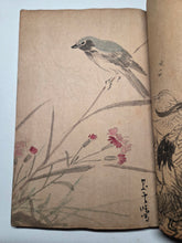 Load image into Gallery viewer, A Collection of Flower and Bird Paintings, Circa 1870-1890 (Meiji Period). Illustrated Manuscript of 74 Pages of Paintings, Sketches, and Drawings of Birds and Flowers, by a Student of the Kyoshin-Kai School of Painting