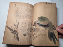 Load image into Gallery viewer, A Collection of Flower and Bird Paintings, Circa 1870-1890 (Meiji Period). Illustrated Manuscript of 74 Pages of Paintings, Sketches, and Drawings of Birds and Flowers, by a Student of the Kyoshin-Kai School of Painting