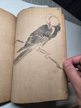 Load image into Gallery viewer, A Collection of Flower and Bird Paintings, Circa 1870-1890 (Meiji Period). Illustrated Manuscript of 74 Pages of Paintings, Sketches, and Drawings of Birds and Flowers, by a Student of the Kyoshin-Kai School of Painting
