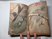Load image into Gallery viewer, A Collection of Flower and Bird Paintings, Circa 1870-1890 (Meiji Period). Illustrated Manuscript of 74 Pages of Paintings, Sketches, and Drawings of Birds and Flowers, by a Student of the Kyoshin-Kai School of Painting