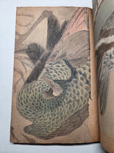 Load image into Gallery viewer, A Collection of Flower and Bird Paintings, Circa 1870-1890 (Meiji Period). Illustrated Manuscript of 74 Pages of Paintings, Sketches, and Drawings of Birds and Flowers, by a Student of the Kyoshin-Kai School of Painting
