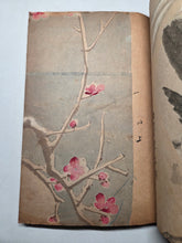 Load image into Gallery viewer, A Collection of Flower and Bird Paintings, Circa 1870-1890 (Meiji Period). Illustrated Manuscript of 74 Pages of Paintings, Sketches, and Drawings of Birds and Flowers, by a Student of the Kyoshin-Kai School of Painting