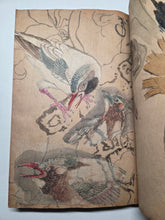 Load image into Gallery viewer, A Collection of Flower and Bird Paintings, Circa 1870-1890 (Meiji Period). Illustrated Manuscript of 74 Pages of Paintings, Sketches, and Drawings of Birds and Flowers, by a Student of the Kyoshin-Kai School of Painting