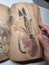 Load image into Gallery viewer, A Collection of Flower and Bird Paintings, Circa 1870-1890 (Meiji Period). Illustrated Manuscript of 74 Pages of Paintings, Sketches, and Drawings of Birds and Flowers, by a Student of the Kyoshin-Kai School of Painting