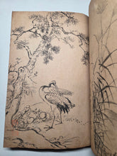 Load image into Gallery viewer, A Collection of Flower and Bird Paintings, Circa 1870-1890 (Meiji Period). Illustrated Manuscript of 74 Pages of Paintings, Sketches, and Drawings of Birds and Flowers, by a Student of the Kyoshin-Kai School of Painting
