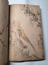 Load image into Gallery viewer, A Collection of Flower and Bird Paintings, Circa 1870-1890 (Meiji Period). Illustrated Manuscript of 74 Pages of Paintings, Sketches, and Drawings of Birds and Flowers, by a Student of the Kyoshin-Kai School of Painting