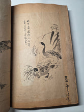 Load image into Gallery viewer, A Collection of Flower and Bird Paintings, Circa 1870-1890 (Meiji Period). Illustrated Manuscript of 74 Pages of Paintings, Sketches, and Drawings of Birds and Flowers, by a Student of the Kyoshin-Kai School of Painting
