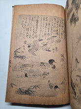 Load image into Gallery viewer, A Collection of Flower and Bird Paintings, Circa 1870-1890 (Meiji Period). Illustrated Manuscript of 74 Pages of Paintings, Sketches, and Drawings of Birds and Flowers, by a Student of the Kyoshin-Kai School of Painting