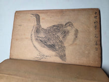 Load image into Gallery viewer, A Collection of Flower and Bird Paintings, Circa 1870-1890 (Meiji Period). Illustrated Manuscript of 74 Pages of Paintings, Sketches, and Drawings of Birds and Flowers, by a Student of the Kyoshin-Kai School of Painting