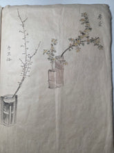 Load image into Gallery viewer, Ikebana Gajo (Flower Arrangement Picture Book), Circa 1870-1890. An Unfinished Sketch Book with Five Pages of Hand Colored and Detailed Floral Arrangements