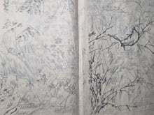 Load image into Gallery viewer, A Nanga Sketchbook, Circa 1870-1900. Sixteen Double Pages of Numerous Southern School Ink Landscapes, Floral Gatherings, and Poetical Calligraphy