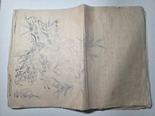 Load image into Gallery viewer, A Nanga Sketchbook, Circa 1870-1900. Sixteen Double Pages of Numerous Southern School Ink Landscapes, Floral Gatherings, and Poetical Calligraphy