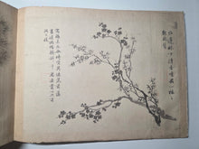 Load image into Gallery viewer, Utsumi Kichidō Kyūzō ko Hanakusa-zu Jū Ni Zu (Twelve Old Flowers and Plants, Formerly Owned by Utsumi Yoshido), Circa 1800-1900. A Painting Album of Twelve Ink Wash Paintings of Fauna and Flora, in the Style of Early Qing Artists