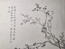 Load image into Gallery viewer, Utsumi Kichidō Kyūzō ko Hanakusa-zu Jū Ni Zu (Twelve Old Flowers and Plants, Formerly Owned by Utsumi Yoshido), Circa 1800-1900. A Painting Album of Twelve Ink Wash Paintings of Fauna and Flora, in the Style of Early Qing Artists
