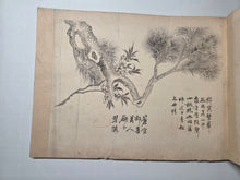 Load image into Gallery viewer, Utsumi Kichidō Kyūzō ko Hanakusa-zu Jū Ni Zu (Twelve Old Flowers and Plants, Formerly Owned by Utsumi Yoshido), Circa 1800-1900. A Painting Album of Twelve Ink Wash Paintings of Fauna and Flora, in the Style of Early Qing Artists