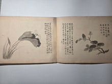 Load image into Gallery viewer, Utsumi Kichidō Kyūzō ko Hanakusa-zu Jū Ni Zu (Twelve Old Flowers and Plants, Formerly Owned by Utsumi Yoshido), Circa 1800-1900. A Painting Album of Twelve Ink Wash Paintings of Fauna and Flora, in the Style of Early Qing Artists
