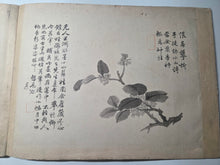 Load image into Gallery viewer, Utsumi Kichidō Kyūzō ko Hanakusa-zu Jū Ni Zu (Twelve Old Flowers and Plants, Formerly Owned by Utsumi Yoshido), Circa 1800-1900. A Painting Album of Twelve Ink Wash Paintings of Fauna and Flora, in the Style of Early Qing Artists