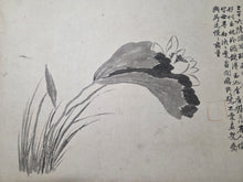 Load image into Gallery viewer, Utsumi Kichidō Kyūzō ko Hanakusa-zu Jū Ni Zu (Twelve Old Flowers and Plants, Formerly Owned by Utsumi Yoshido), Circa 1800-1900. A Painting Album of Twelve Ink Wash Paintings of Fauna and Flora, in the Style of Early Qing Artists
