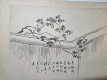 Load image into Gallery viewer, Utsumi Kichidō Kyūzō ko Hanakusa-zu Jū Ni Zu (Twelve Old Flowers and Plants, Formerly Owned by Utsumi Yoshido), Circa 1800-1900. A Painting Album of Twelve Ink Wash Paintings of Fauna and Flora, in the Style of Early Qing Artists