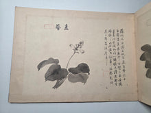 Load image into Gallery viewer, Utsumi Kichidō Kyūzō ko Hanakusa-zu Jū Ni Zu (Twelve Old Flowers and Plants, Formerly Owned by Utsumi Yoshido), Circa 1800-1900. A Painting Album of Twelve Ink Wash Paintings of Fauna and Flora, in the Style of Early Qing Artists