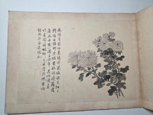 Load image into Gallery viewer, Utsumi Kichidō Kyūzō ko Hanakusa-zu Jū Ni Zu (Twelve Old Flowers and Plants, Formerly Owned by Utsumi Yoshido), Circa 1800-1900. A Painting Album of Twelve Ink Wash Paintings of Fauna and Flora, in the Style of Early Qing Artists
