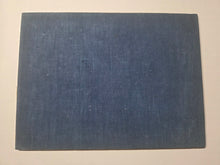 Load image into Gallery viewer, Utsumi Kichidō Kyūzō ko Hanakusa-zu Jū Ni Zu (Twelve Old Flowers and Plants, Formerly Owned by Utsumi Yoshido), Circa 1800-1900. A Painting Album of Twelve Ink Wash Paintings of Fauna and Flora, in the Style of Early Qing Artists