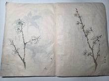 Load image into Gallery viewer, Shashinchō Kusabana (Photo Album of Flowers), Circa 1843. An Unknown Artist’s Botany Album, with 25 Pages of Floral Watercolor Paintings and Sketches