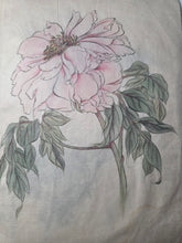 Load image into Gallery viewer, Shashinchō Kusabana (Photo Album of Flowers), Circa 1843. An Unknown Artist’s Botany Album, with 25 Pages of Floral Watercolor Paintings and Sketches