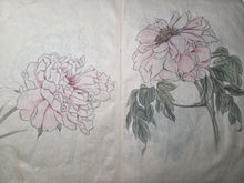 Load image into Gallery viewer, Shashinchō Kusabana (Photo Album of Flowers), Circa 1843. An Unknown Artist’s Botany Album, with 25 Pages of Floral Watercolor Paintings and Sketches