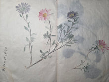 Load image into Gallery viewer, Shashinchō Kusabana (Photo Album of Flowers), Circa 1843. An Unknown Artist’s Botany Album, with 25 Pages of Floral Watercolor Paintings and Sketches
