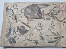 Load image into Gallery viewer, A Literati Artist’s Sketch Book, Circa 1800-1840. 27 Pages with Countless Sketches in Ink and Color, With Pasted in Examples