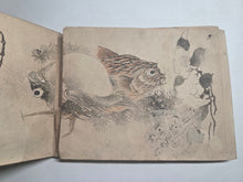 Load image into Gallery viewer, A Literati Artist’s Sketch Book, Circa 1800-1840. 27 Pages with Countless Sketches in Ink and Color, With Pasted in Examples