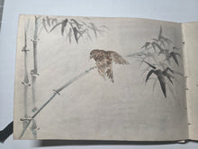 Load image into Gallery viewer, An Amateur Japanese Sketchbook of Watercolor and Ink Wash Paintings, Circa 1890-1920. 81 Full Page Drawings of Beautiful Landscapes, Deities, Animals and Much More