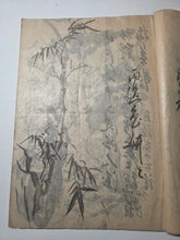 Load image into Gallery viewer, A Painting Sketchbook of Sumi-E Sketches, 19th Century With 55 Full Page Sumi-E Ink Wash Paintings of Flowers and Branches
