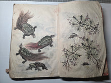 Load image into Gallery viewer, The Manuscript Painting Book of Noguchi Shosai, Circa 1840-1870. Manuscript Sketchbook of Paintings by a Japanese Painter of the Late Edo to Early Meiji Period. Hundreds of Skilled, Copied Illustrations and Original Subjects