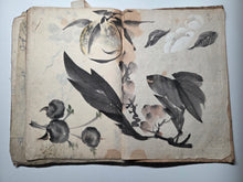 Load image into Gallery viewer, A Literati Artist’s Sketch Book, Circa 1800-1840. 56 Pages of Heavily Detailed Ink Wash Drawings, with Pasted and Tipped in Pieces. Many Pages on Birds and Ornithology