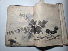 Load image into Gallery viewer, A Literati Artist’s Sketch Book, Circa 1800-1840. 56 Pages of Heavily Detailed Ink Wash Drawings, with Pasted and Tipped in Pieces. Many Pages on Birds and Ornithology