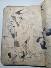 Load image into Gallery viewer, A Literati Artist’s Sketch Book, Circa 1800-1840. 56 Pages of Heavily Detailed Ink Wash Drawings, with Pasted and Tipped in Pieces. Many Pages on Birds and Ornithology